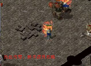 ��Ѫ���棺������������