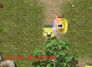 ��Ѫ���棺������������