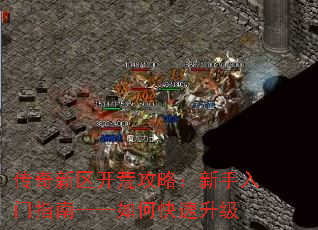 �����������Ĺ��ԣ���������ָ�ϡ�����ο�������