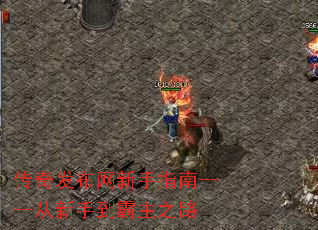 ���淢��������ָ�ϡ��������ֵ�����֮·