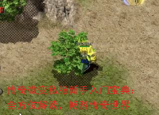 ����΢��˽���������ű��䣺ȫ��λ��������δ�������