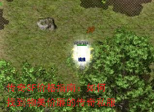 ����SF�۸�ָ�ϣ�����ҵ����������Ĵ���˽��