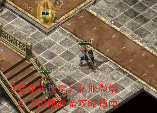 《藏龙决传奇》私服微端:新手进阶必备攻略指南 《藏龙决传奇》私服微端:新手进阶必备攻略指南