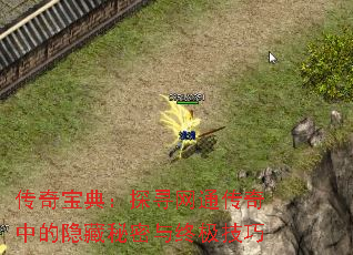 ���汦�䣺̽Ѱ��ͨ�����е������������ռ�����