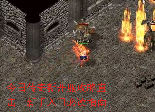 ���մ����¿�������ֱ�����������űض�ָ��