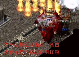 ����˽����սָ�ϣ��ϻ����ܴ�����ʵս�������