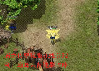 ��������˽�����߶��ֽ��۷�װ����ˢ����