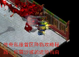 ����˽���������ٹ����ؼ����ư�ɳ�ǵĽ���ָ��