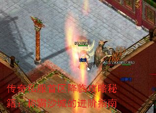 ����˽���������ٹ����ؼ����ư�ɳ�ǵĽ���ָ��