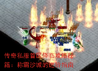 ����˽���������ٹ����ؼ����ư�ɳ�ǵĽ���ָ��