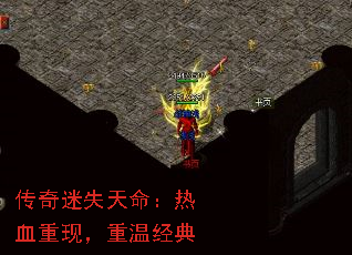 ������ʧ��������Ѫ���֣����¾���