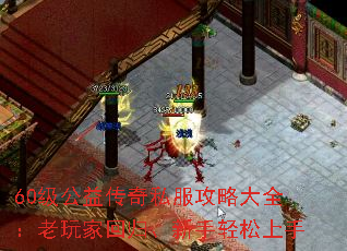 60�����洫��˽�����Դ�ȫ������һع顢������������