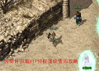 ���滳�ɷ�VIP��Ȩ�ȼ���ѯ����