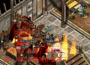 �����桷˽����ȫ���淨���귨��½��������