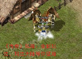 �����桷˽����ȫ���淨���귨��½��������