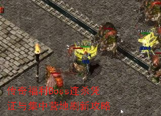 ���渣��Boss��ɱƾ֤�뼯��Ӫ��ˢ�¹���