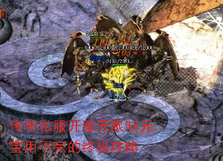 ����˽������������Ԫ���ò�����ռ�����