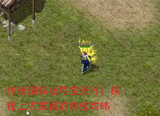 ������ʰ�Ѱ�����У�̽���Ϲű��ص��ռ�����