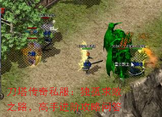 ��������˽�����������֮·�����ֽ��׹����ʴ�