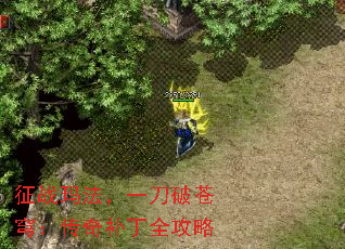 ��ս�귨��һ���Ʋ�񷣺���油��ȫ����