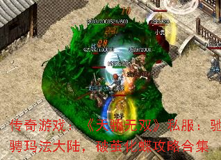 ������Ϸ�����콾��˫��˽�����۳��귨��½���Ƽ뻯�����Ժϼ�