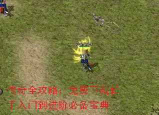 ����ȫ���ԣ���������������ŵ����ױر�����