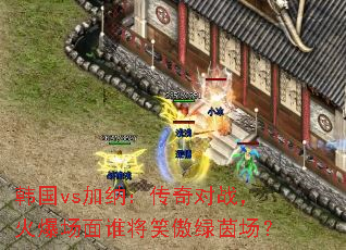 ����vs���ɣ������ս���𱬳���˭��Ц�����𳡣�