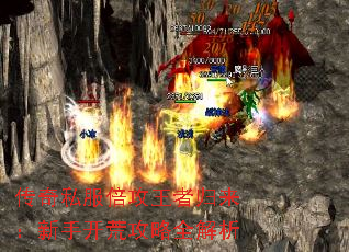 ����˽���������߹��������ֿ��Ĺ���ȫ����