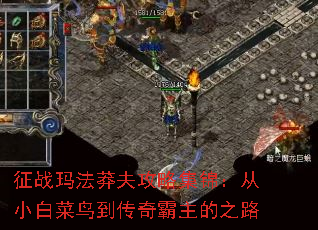 ��ս�귨ç���Լ�������С�ײ��񵽴��������֮·