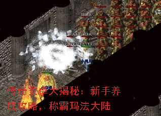 ���氲׿����أ��������ɹ��ԣ��ư��귨��½