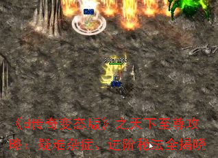 ��d�����̬�桷֮���������ԣ�������֢�������ط�ȫ����