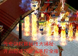 ����GMȨ���ؼ�����أ��������ع��ܣ��ƿ�ȫ��