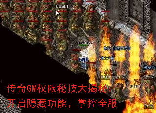 ����GMȨ���ؼ�����أ��������ع��ܣ��ƿ�ȫ��