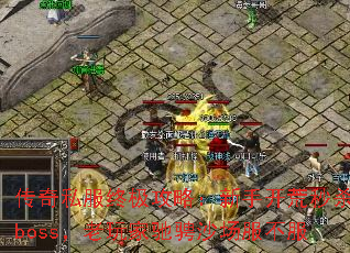 ����˽���ռ����ԣ����ֿ�����ɱboss������ҳ۳�ɳ��������