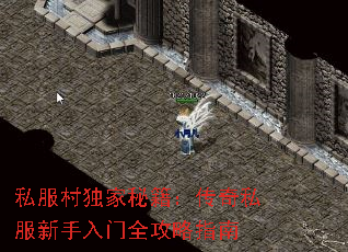 ˽��������ؼ�������˽����������ȫ����ָ��