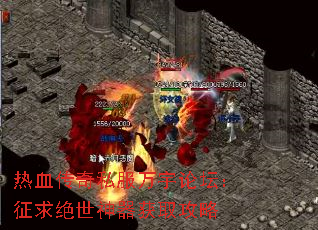 ��Ѫ����˽��������̳���������������ȡ����