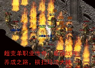 ���䵥ְҵ���棺��ǿս������֮·����ɨ�귨��½