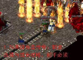 1.76Ӣ�ۺϻ����棺ְҵѡ����ɳ����ԣ����ֱض�