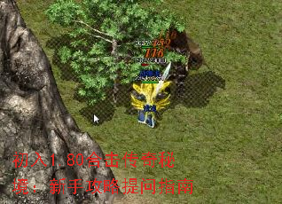 ����1.80�ϻ������ؾ������ֹ�������ָ��