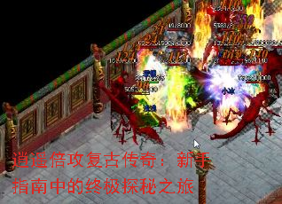 ��ң�������Ŵ��棺����ָ���е��ռ�̽��֮��