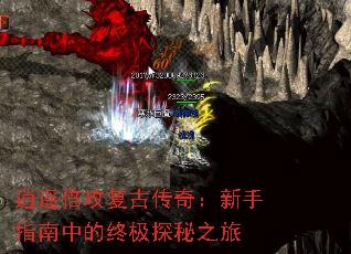 ��ң�������Ŵ��棺����ָ���е��ռ�̽��֮��