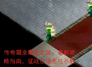 �����ҵ����֮·�����¹���ָ�ϣ���սɳ��������ʤ