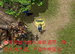 ̽����Ѫ����˽���¾��磺�⿪Ԫ��֮�գ�����������;