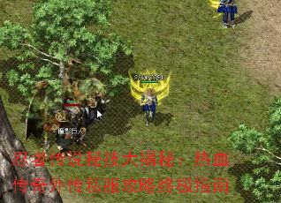 ���ߴ�˵�ؼ�����أ���Ѫ�����⴫˽�������ռ�ָ��