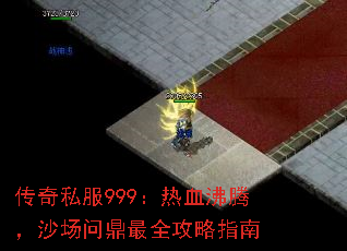 ����˽��999����Ѫ���ڣ�ɳ���ʶ���ȫ����ָ��