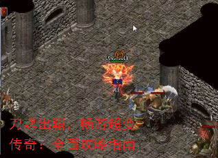 ������ʣ����γ��䴫�棺ȫ�湥��ָ��