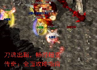 ������ʣ����γ��䴫�棺ȫ�湥��ָ��