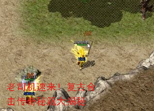 ��˾�����������źϻ������ؼ������