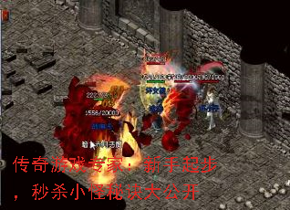 ������Ϸר�ң������𲽣���ɱС���ؾ��󹫿�