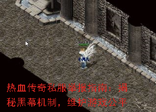 ��Ѫ����˽���ٱ�ָ�ϣ����غ�Ļ���ƣ�ά����Ϸ��ƽ